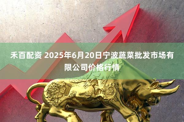 禾百配资 2025年6月20日宁波蔬菜批发市场有限公司价格行情