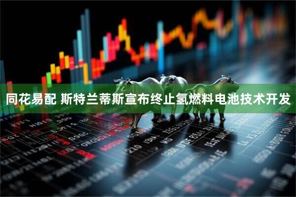 同花易配 斯特兰蒂斯宣布终止氢燃料电池技术开发