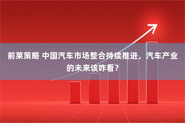 前莱策略 中国汽车市场整合持续推进，汽车产业的未来该咋看？