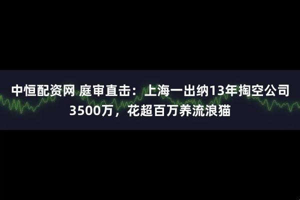 中恒配资网 庭审直击:上海一出纳13年掏空公司3500万,花超百万养流浪猫