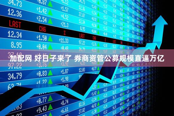 加配网 好日子来了 券商资管公募规模直逼万亿