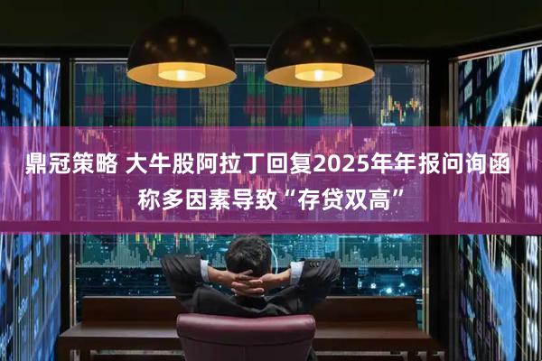 鼎冠策略 大牛股阿拉丁回复2025年年报问询函 称多因素导致“存贷双高”